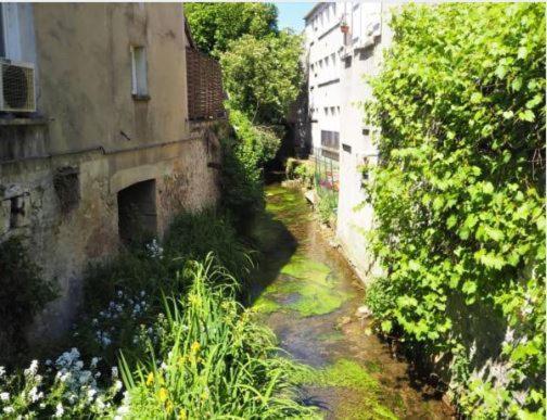 Le Gite Entre Val Et Rose Provins Eksteriør billede